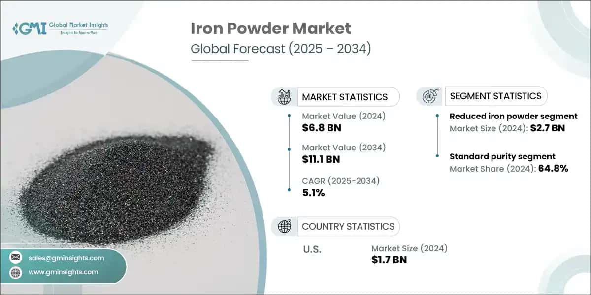 Iron Powder Market