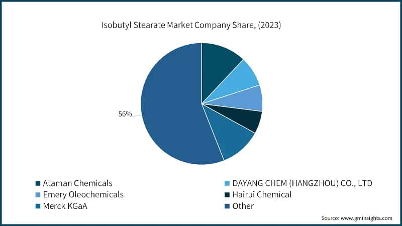 Isobutyl Stearate Market Company Share, (2023)