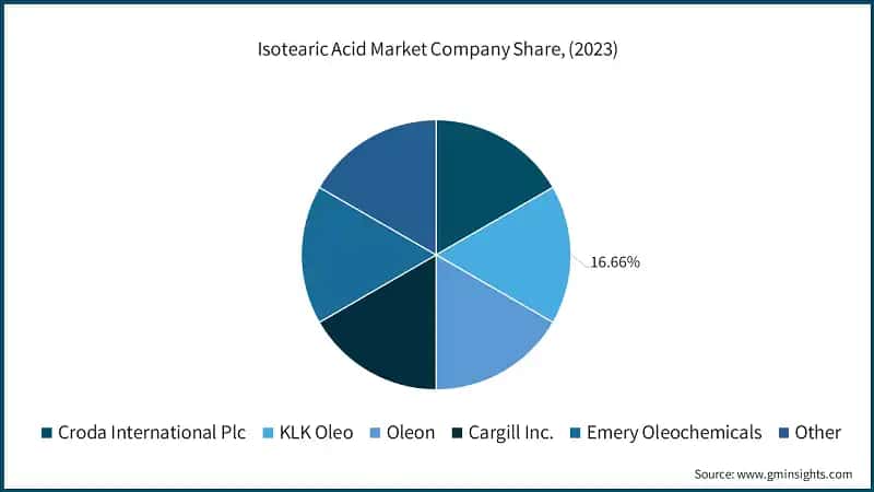 Isotearic Acid Market Company Share, (2023)