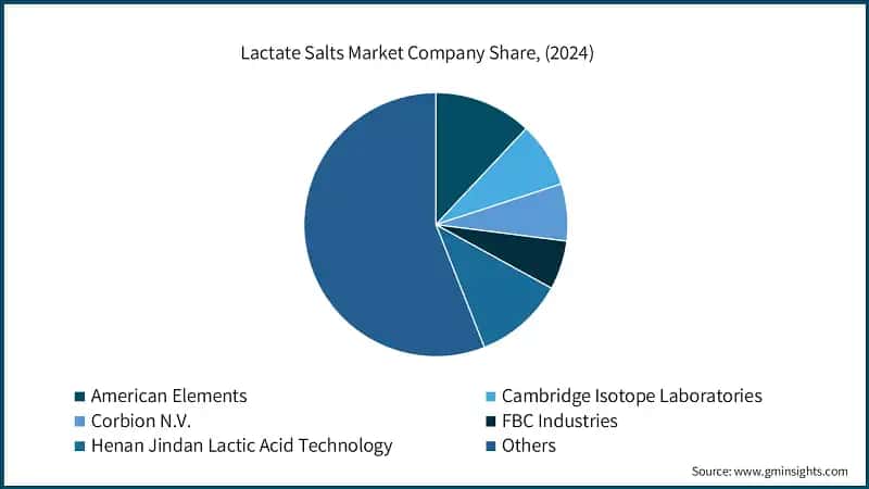 Lactate Salts Market Company Share, (2024)