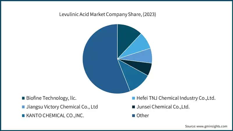 Levulinic Acid Market Company Share, (2023)