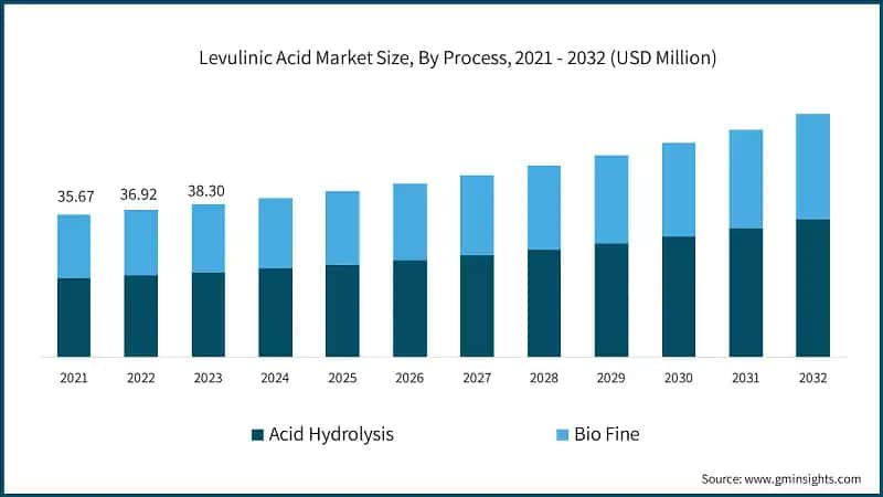 Levulinic Acid Market Size, By Process, 2021 - 2032 (USD Million)