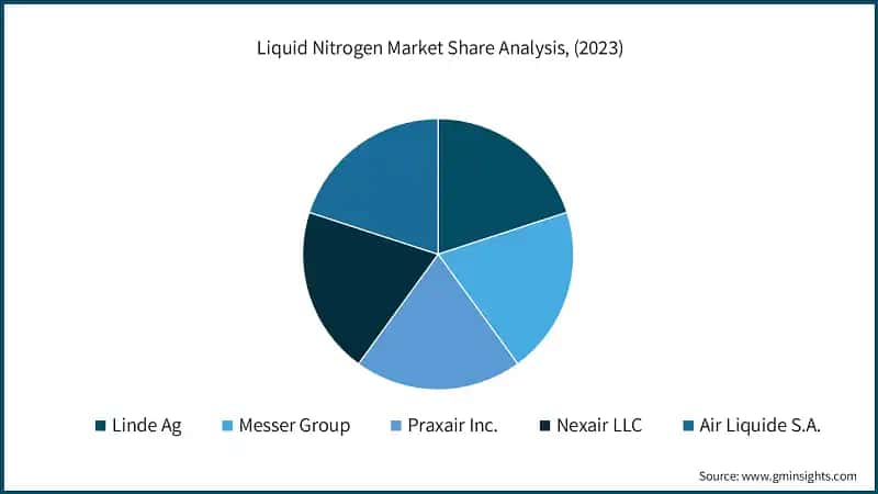 Liquid Nitrogen Market Share Analysis, (2023)