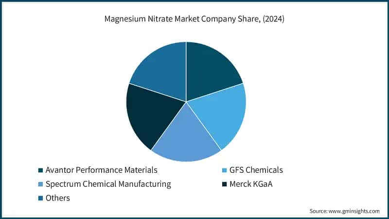 Magnesium Nitrate Market Company Share, (2024)