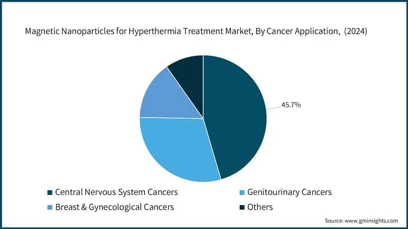 Magnetic Nanoparticles for Hyperthermia Treatment Market,  By Cancer Application,  (2024)