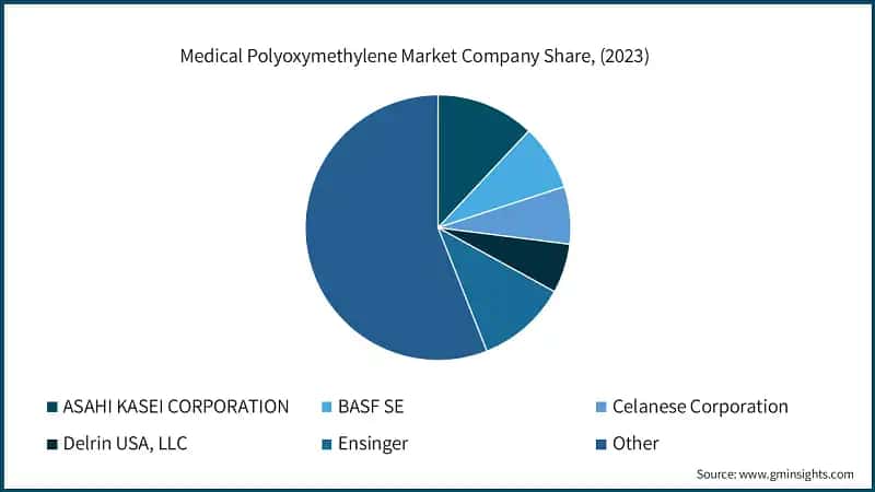 Medical Polyoxymethylene Market Company Share, (2023)