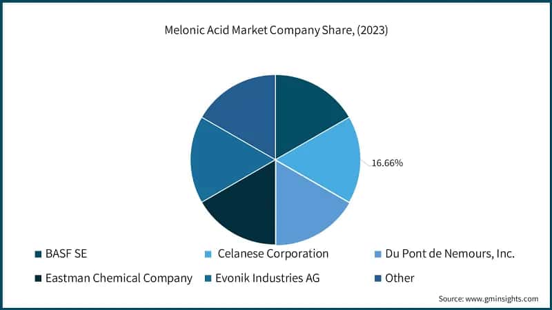 Melonic Acid&nbsp;Market Company Share, (2023)