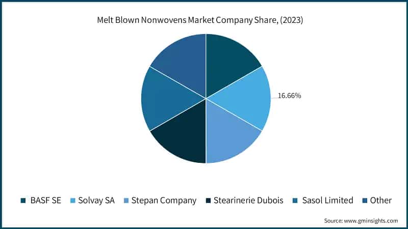 Melt Blown Nonwovens Market Company Share, (2023)
