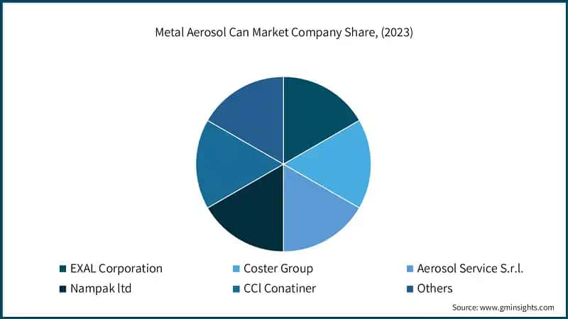 Metal Aerosol Can Market Company Share, (2023)