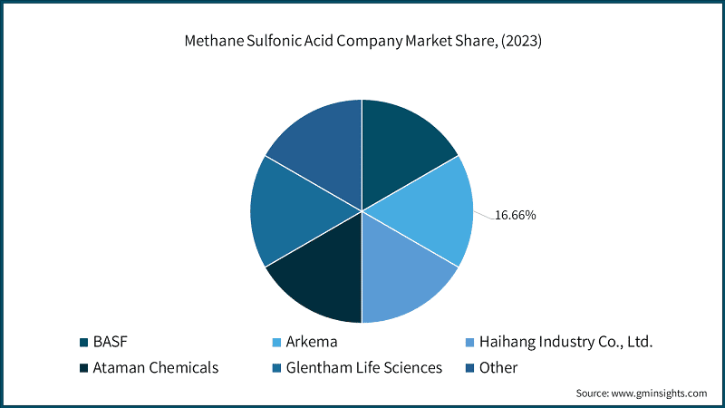 Methane Sulfonic Acid Company Market Share, (2023)