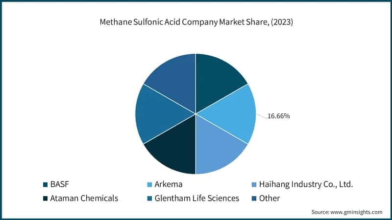 Methane Sulfonic Acid Company Market Share, (2023)
