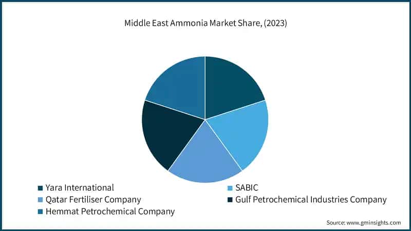 Middle East Ammonia Market Share, (2023)