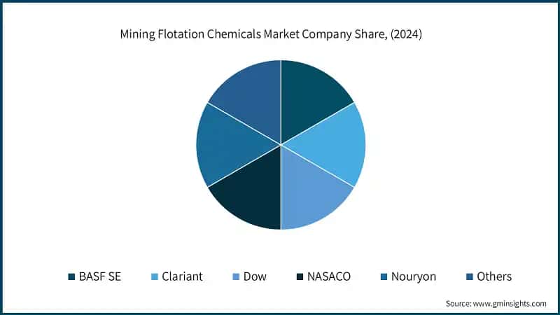 Mining Flotation Chemicals Market Company Share, (2024)