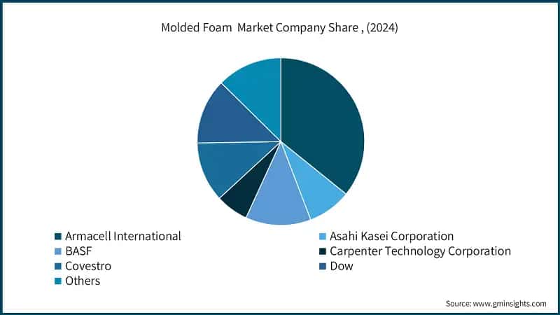 Molded Foam Market Company Share, (2024)
