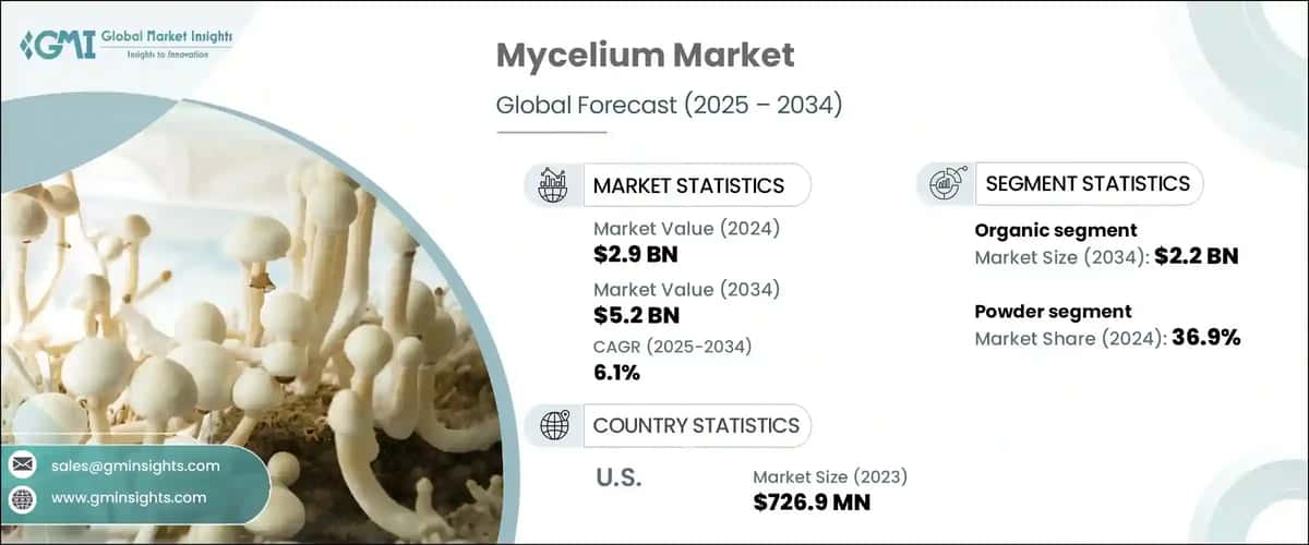 Mycelium Market