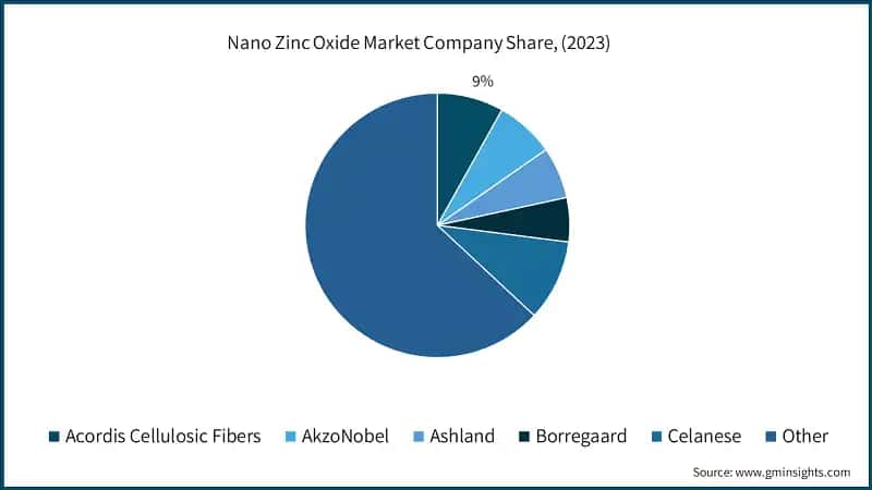 Nano Zinc Oxide Market Company Share, (2023)