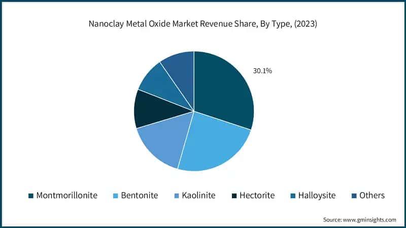 Nanoclay Metal Oxide Market Revenue Share, By Type, (2023)