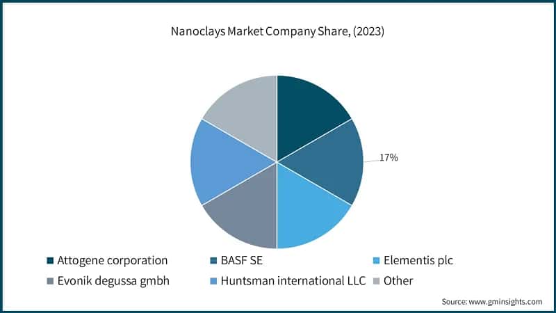 Nanoclays Market Company Share, (2023)