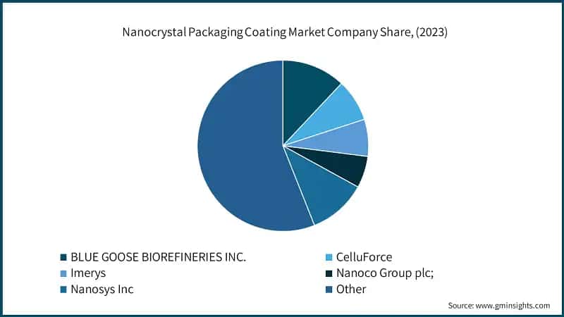 Nanocrystal Packaging Coating Market Company Share, (2023)