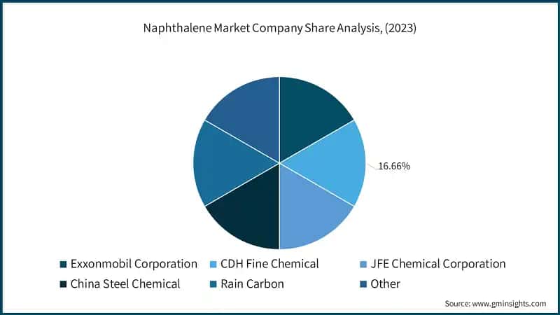 Naphthalene Market Company Share Analysis, (2023)