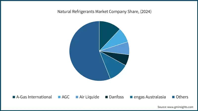 Natural Refrigerants Market Company Share, (2024)