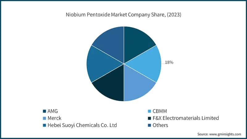 Niobium Pentoxide Market Company Share, (2023)