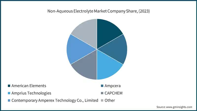  Non-Aqueous Electrolyte Market Company Share, (2023)