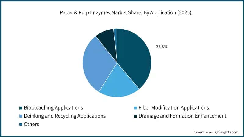 Paper & Pulp Enzymes Market Share, By Application (2025)