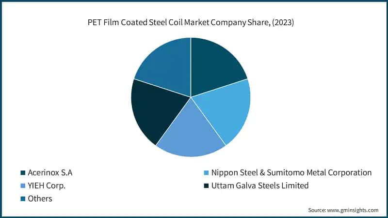PET Film Coated Steel Coil Market Company Share, (2023)