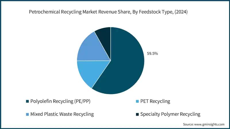 Petrochemical Recycling Market Revenue Share, By Feedstock Type, (2024)