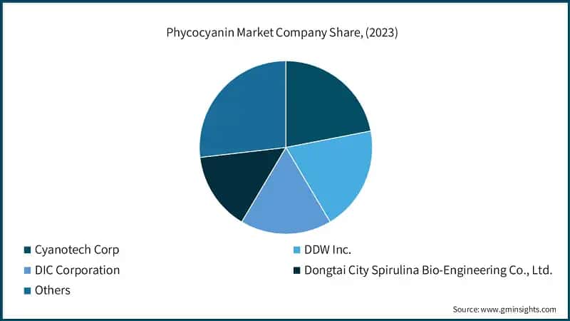 Phycocyanin Market Company Share, (2023)