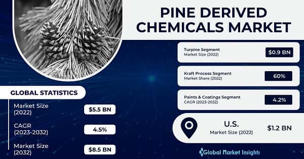Pine Derived Chemicals Market 