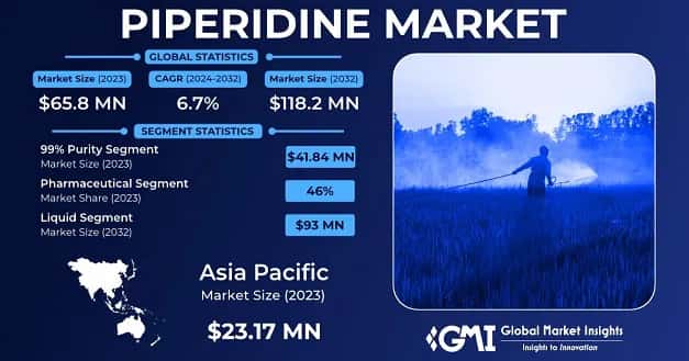 Piperidine Market