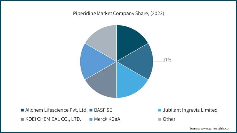 Piperidine Market Company Share, (2023)