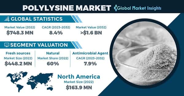 Polylysine Market