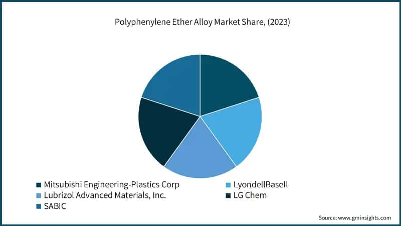 Polyphenylene Ether Alloy Market Share, (2023)