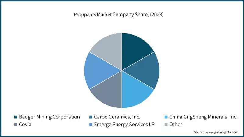 Proppants Market Company Share, (2023)