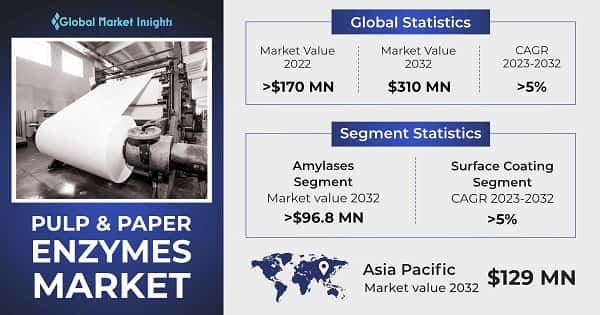 Pulp & Paper Enzymes Market 