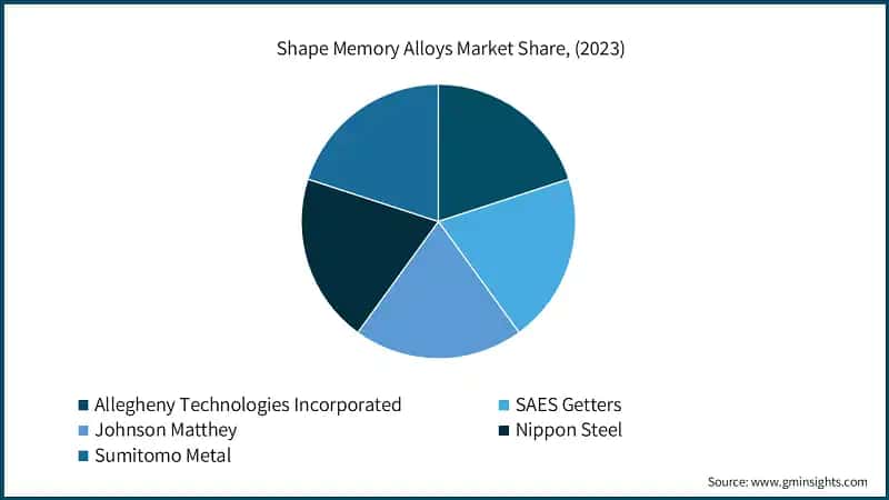 Shape Memory Alloys Market Share, (2023)