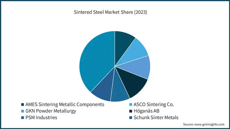 Sintered Steel Market Share (2023)