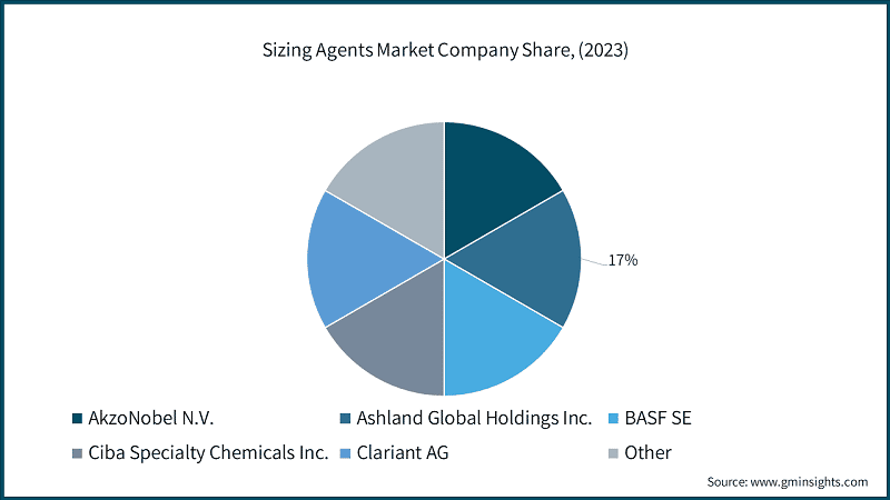 Sizing Agents Market Company Share, (2023)