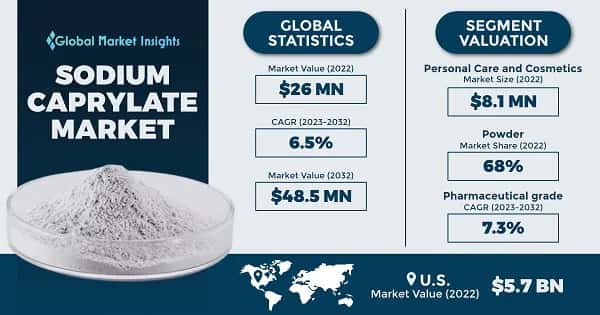 Sodium Caprylate Market