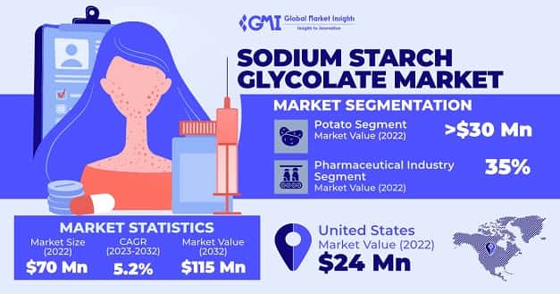 Sodium Starch Glycolate Market 