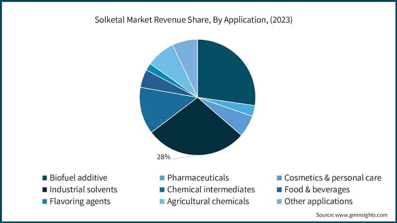 Solketal Market Revenue Share, By Application, (2023)
