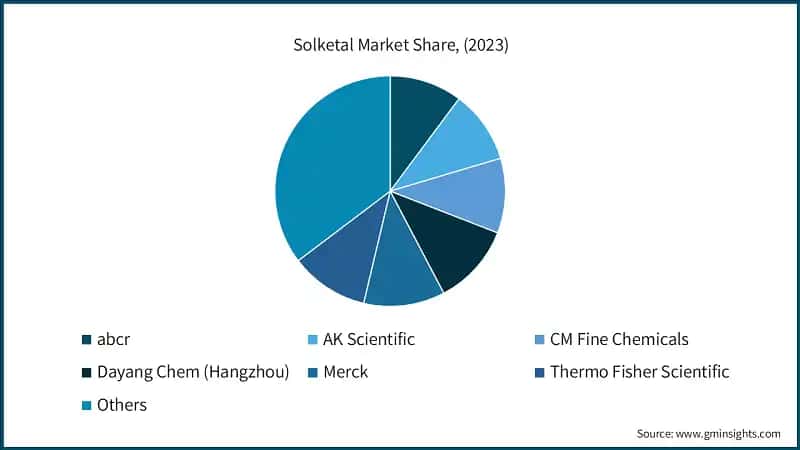 Solketal Market Share, (2023)