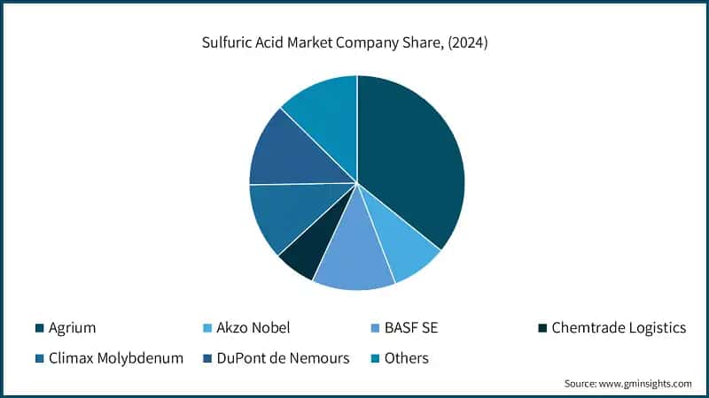 Sulfuric Acid Market Company Share, (2024)