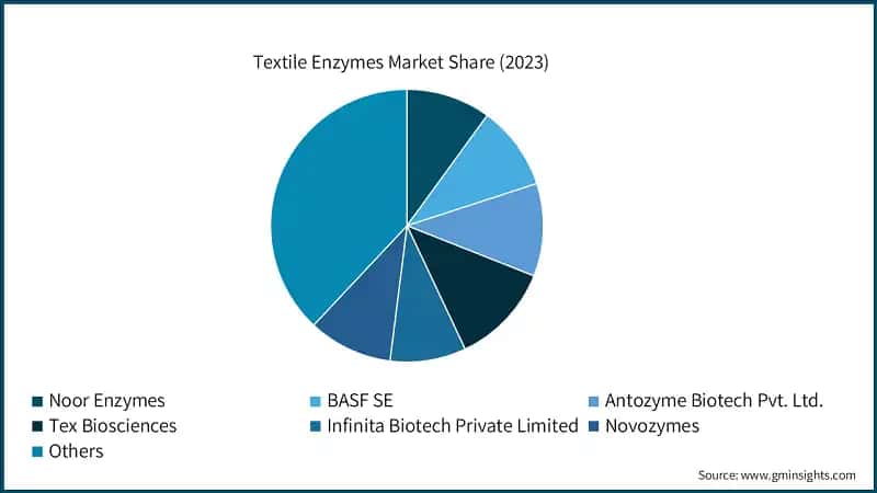 Textile Enzymes Market Share (2023)