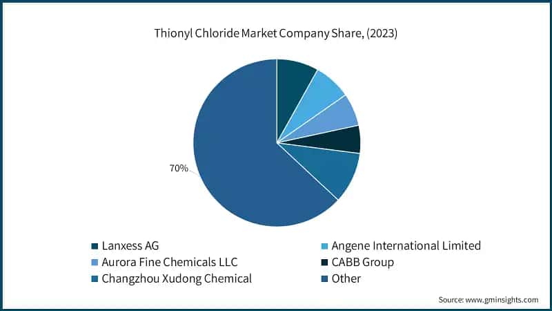 Thionyl Chloride Market Company Share, (2023)