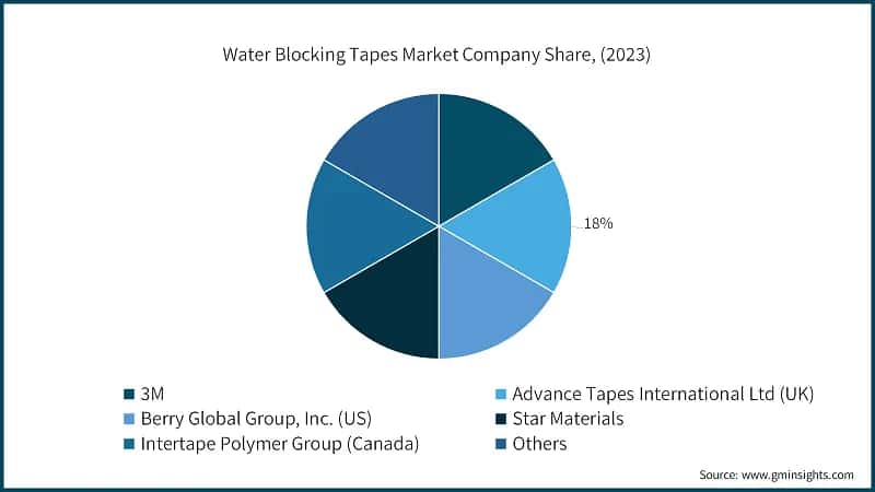 Water Blocking Tapes Market Company Share, (2023)