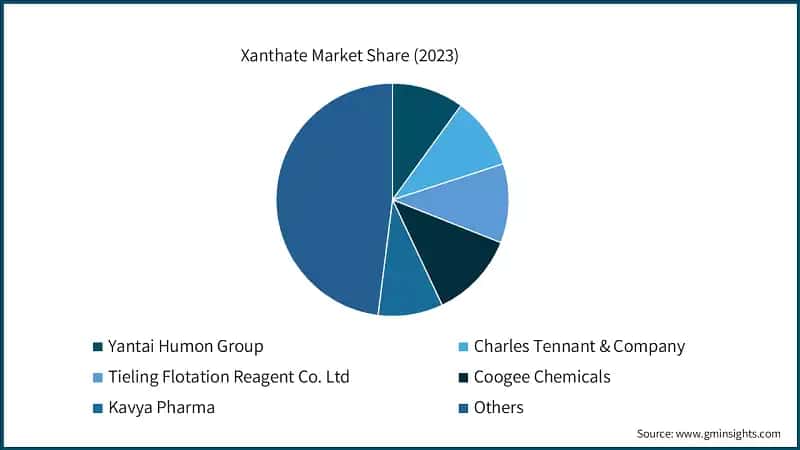 Xanthate Market Share (2023)